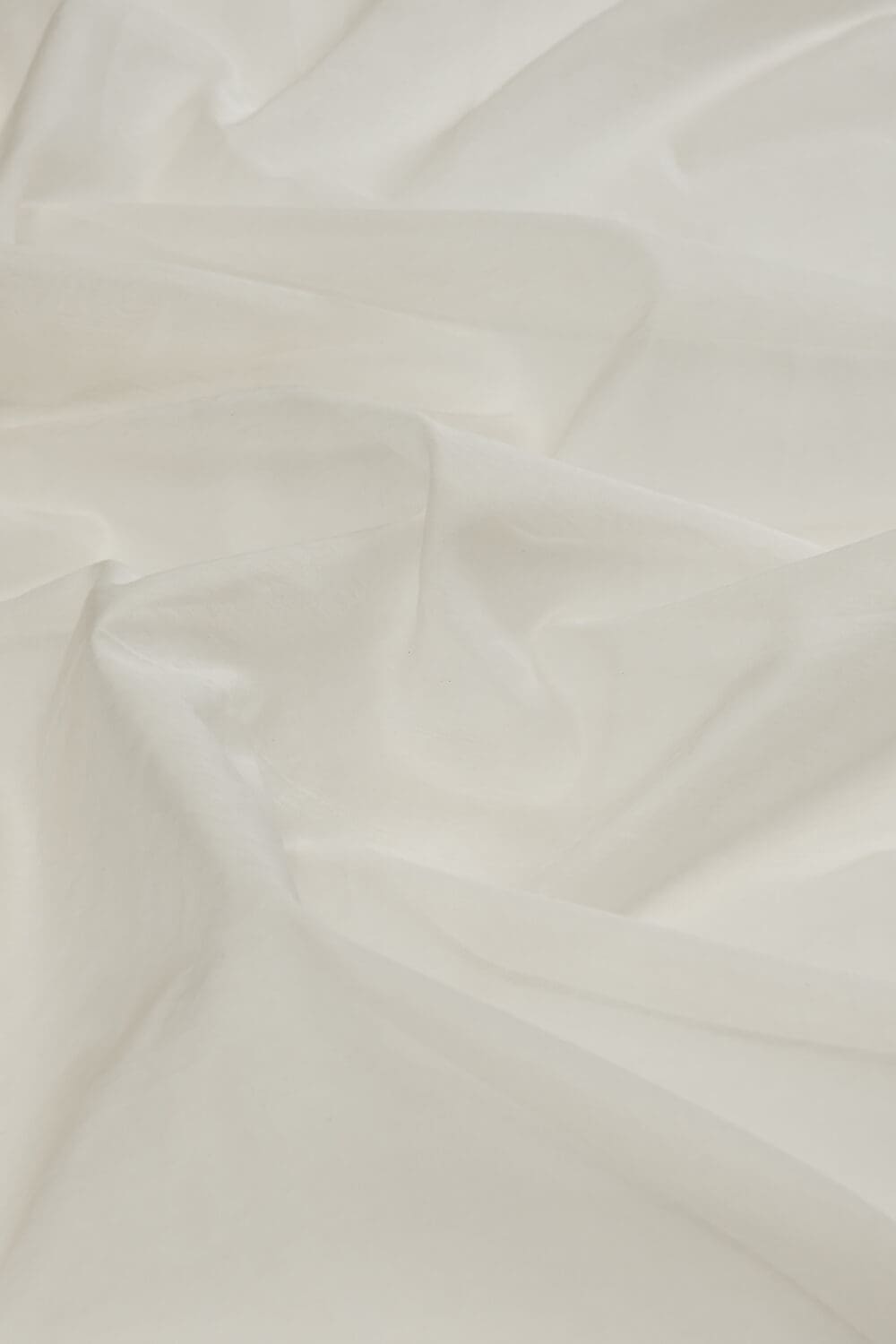 Silk Chanderi - Image 2