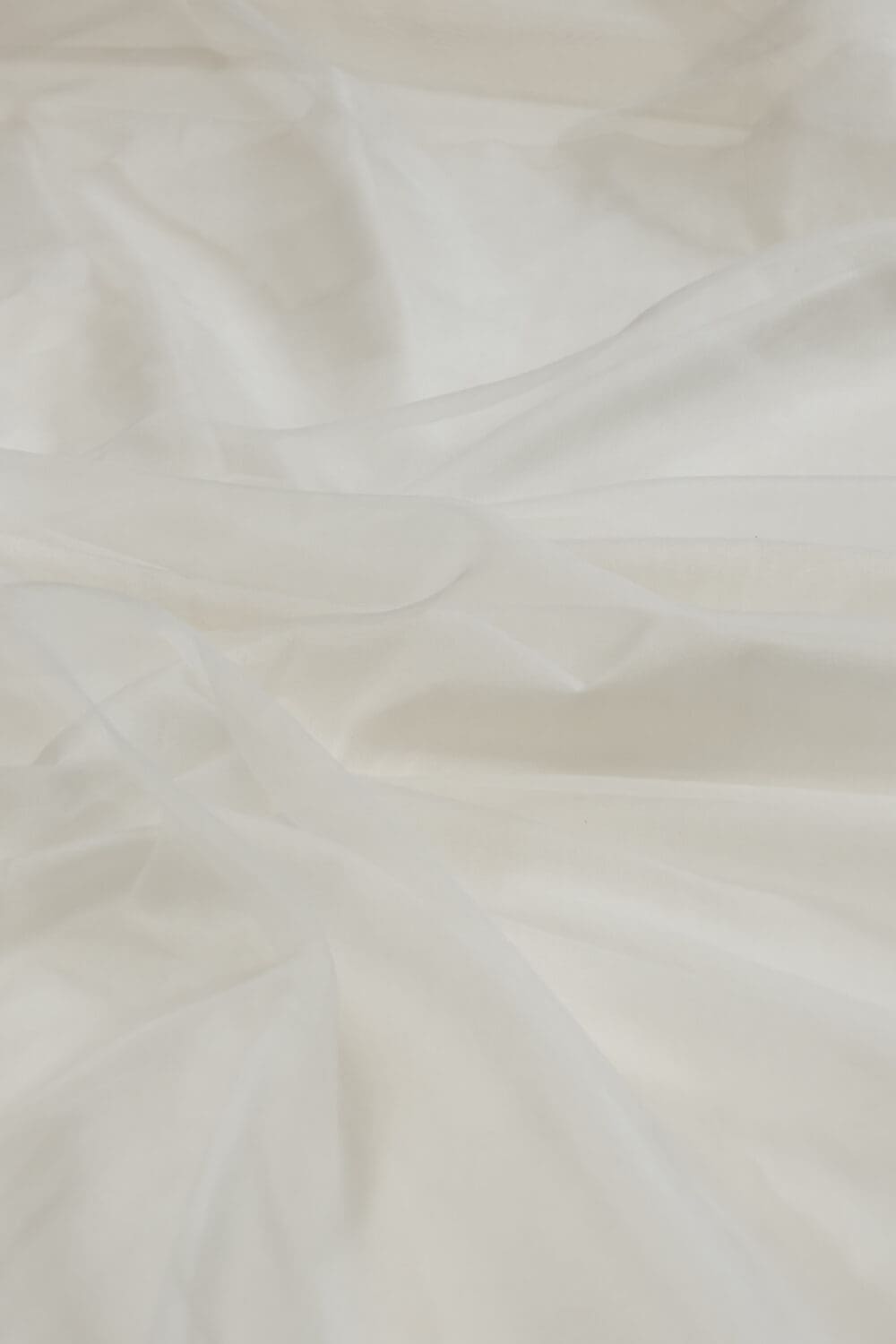 Silk Organza | 30 gm - Image 2