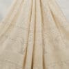 Viscose Georgette Embroidery