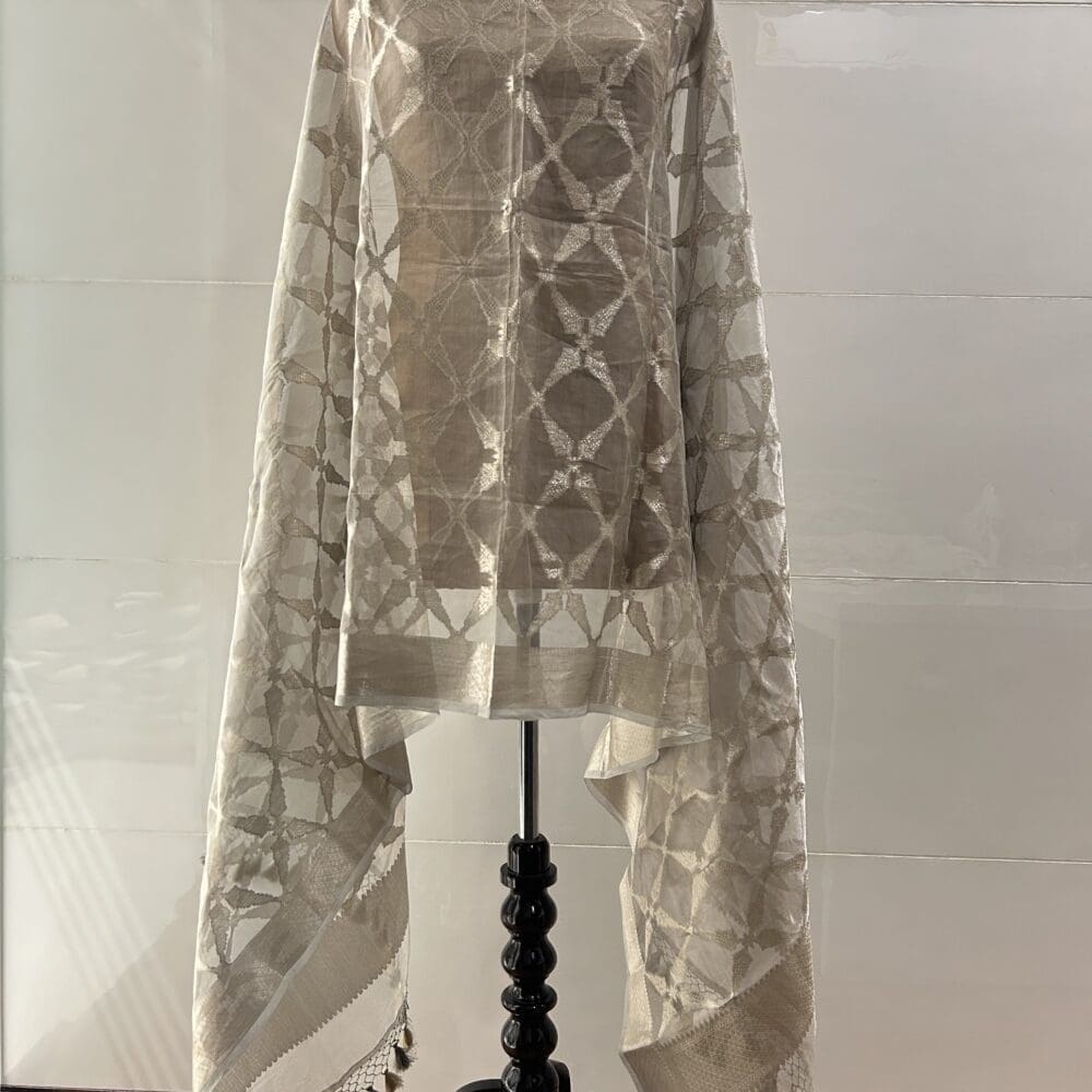IMG_2548 Silk Tissue Dupatta