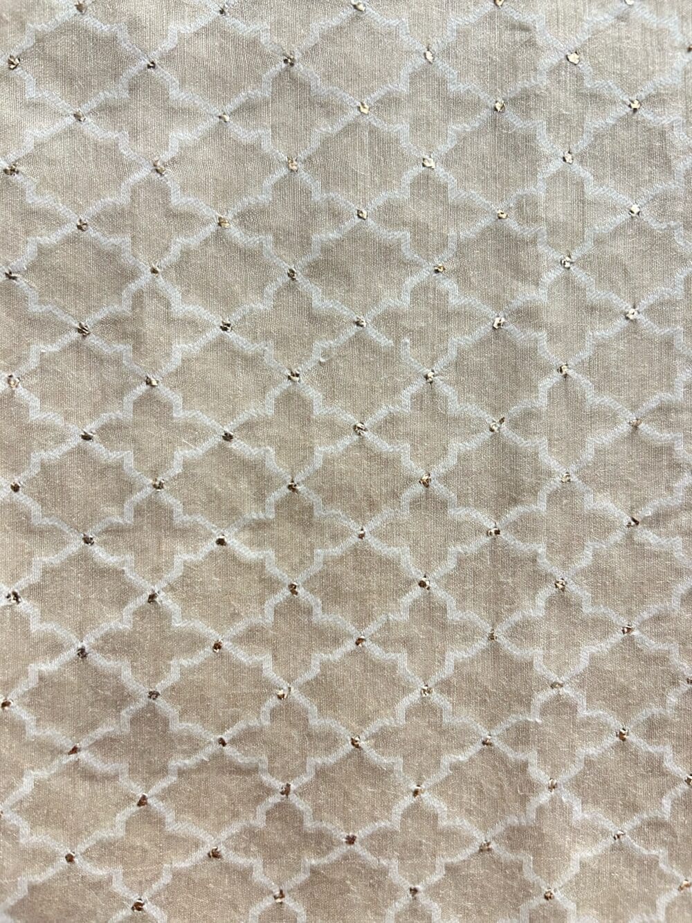 Silk Munga Mukaish Cutwork - Image 3